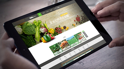 农业类商城网站建设开发制作解决方案 打造一站式互联网销售平台