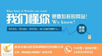 互联网营销与销售领域中的星际网络及其行业解析